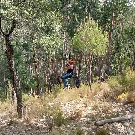 Quinta Do Outeiro Alto Βίλα Constância Εξωτερικό φωτογραφία