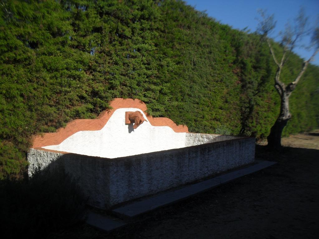 Quinta Do Outeiro Alto Βίλα Constância Εξωτερικό φωτογραφία