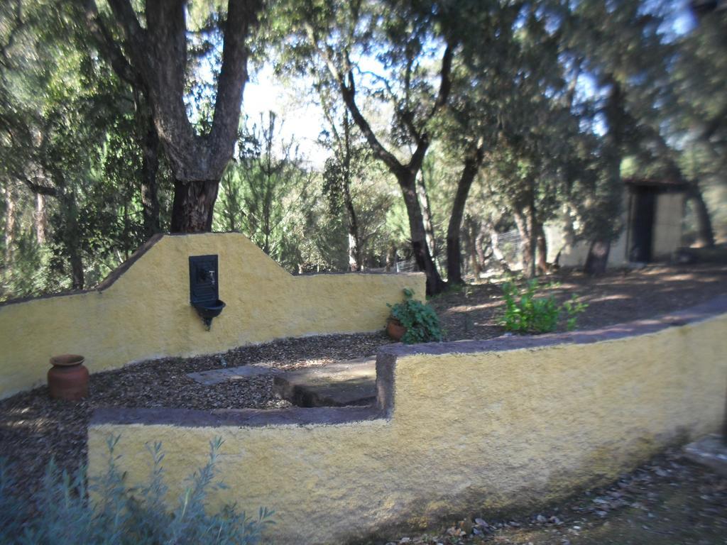 Quinta Do Outeiro Alto Βίλα Constância Εξωτερικό φωτογραφία