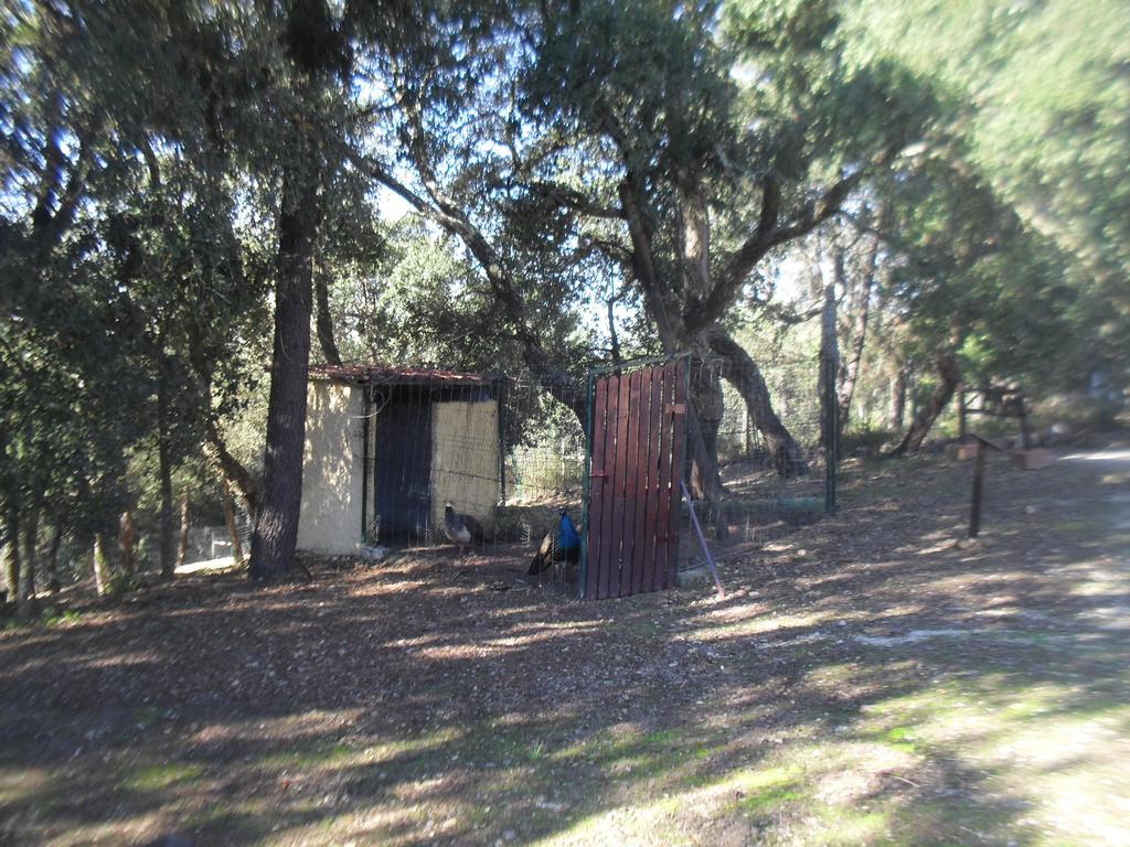 Quinta Do Outeiro Alto Βίλα Constância Εξωτερικό φωτογραφία