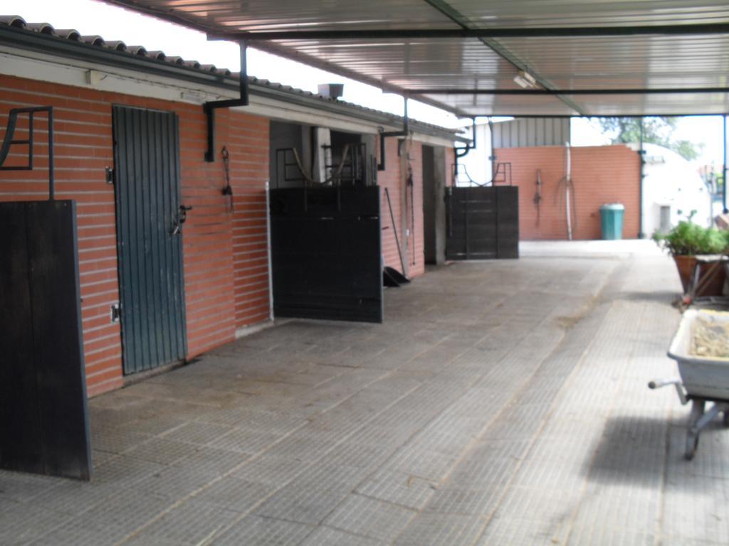 Quinta Do Outeiro Alto Βίλα Constância Εξωτερικό φωτογραφία