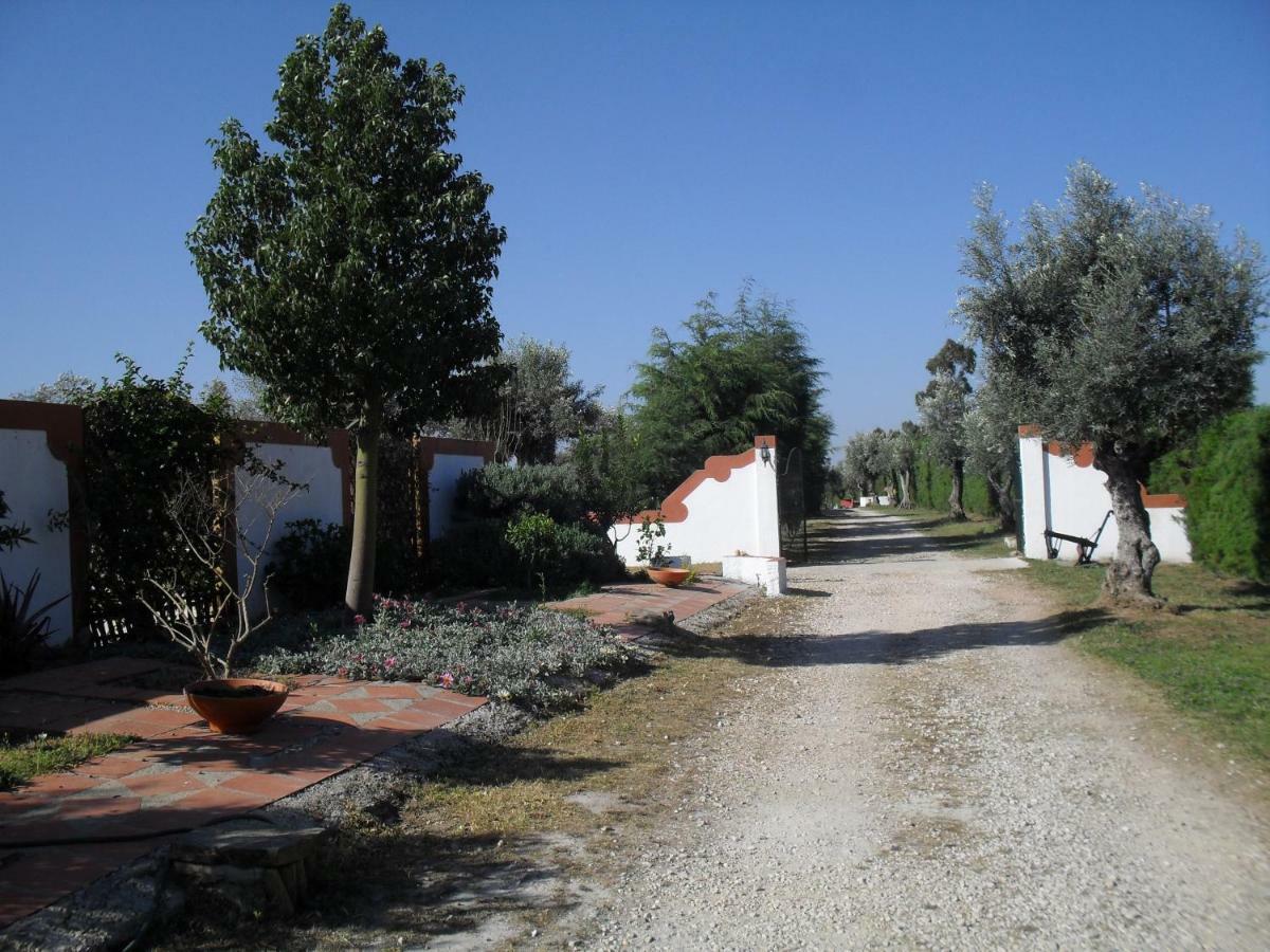 Quinta Do Outeiro Alto Βίλα Constância Εξωτερικό φωτογραφία